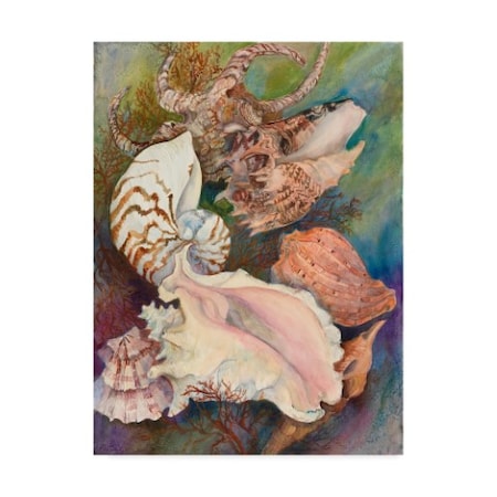 Joanne Porter 'Collected Shells' Canvas Art,18x24